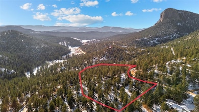 35441 Upper Aspen Ln, Pine, CO 80470 - photo 3