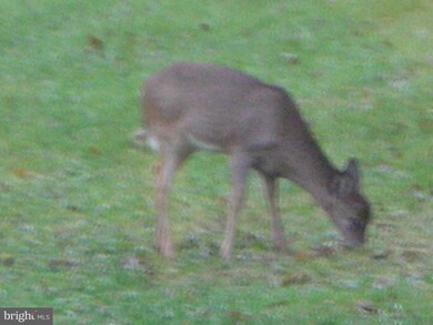 3005 Stonewall Passage, Rohrersville, MD 21779 - photo 3