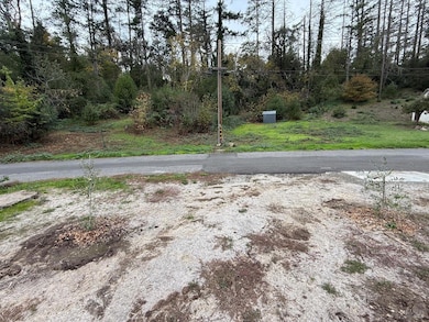 389 Circle Dr, Angwin, CA 94508 - photo 6