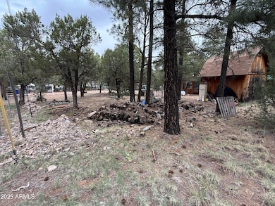 2181 Hashknife Dr unit 41, Overgaard, AZ 85933 - photo 2