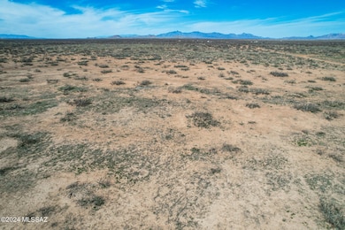 catclaw5acres-13