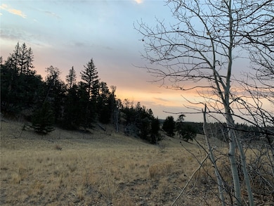 216 Musket Ln, Como, CO 80432 - photo 2