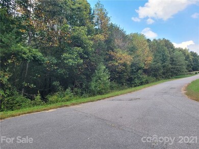 3.5 Hidden River Ln, Statesville, NC 28625 - photo 3