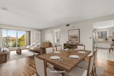 200 Locust St unit 302, Lynn, MA 01904 - photo 3