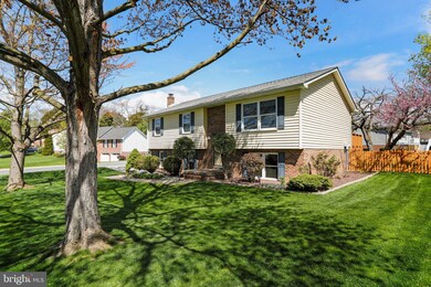 533 Virginia St, Strasburg, VA 22657 - photo 7