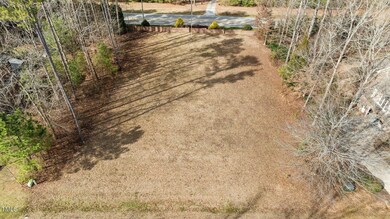 5-web-or-mls-DJI_0208