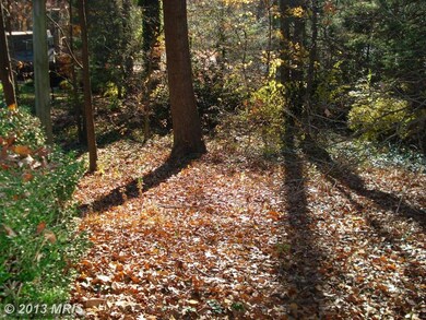 6433 Lily Dhu Ln, Falls Church, VA 22044 - photo 4