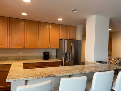 263 N York St unit 325, Elmhurst, IL 60126 - photo 4