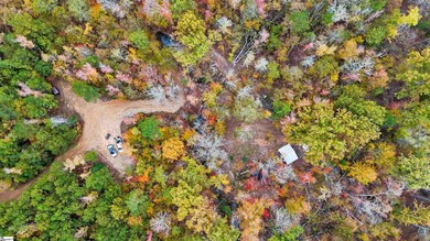 0 Sulpher Springs Rd, Waterloo, SC 29384 - photo 5