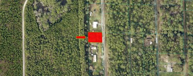 0 NE 65th Ave unit MFRO6242141, Citra, FL 32113 - photo 2