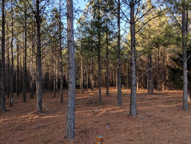 2575 River Bluffs Dr, Jasper, TN 37347 - photo 7