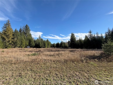 138 Shelton Rd, Randle, WA 98377 - photo 4