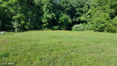 9225 Dunkard Church Rd, Rixeyville, VA 22737 - photo 6