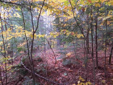 45 Clough Pond Rd, Loudon, NH 03307 - photo 7