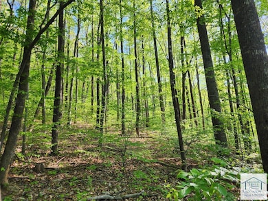 00 Woolwine Hwy, Woolwine, VA 24185 - photo 5