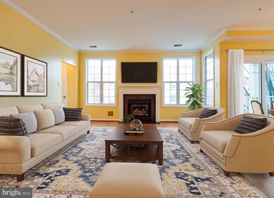 4667 Longstreet Ln unit 206, Alexandria, VA 22311 - photo 4