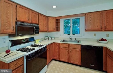 7301 Pinecastle Rd, Falls Church, VA 22043 - photo 7