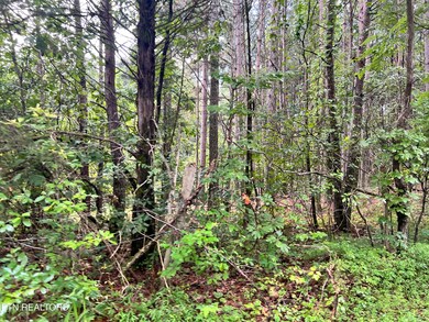 0 Prigmore Ridge Rd unit 1310631, Decatur, TN 37322 - photo 5