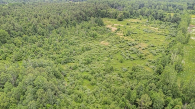 2146 W Pinconning Rd, Rhodes, MI 48652 - photo 6