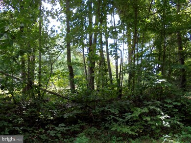 0 New Hampshire Rd unit 31 VAOR134578, Rhoadesville, VA 22542 - photo 7