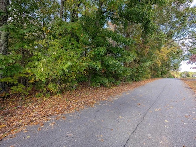 0 Johnson Ave, Inman, SC 29349 - photo 4