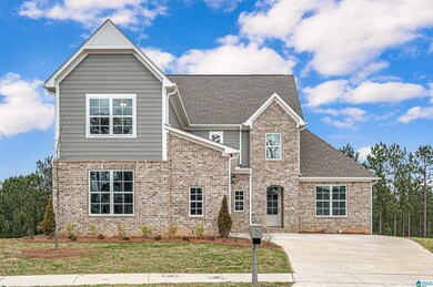 Future Blake basement