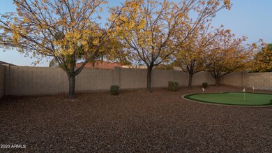 Rear Yard