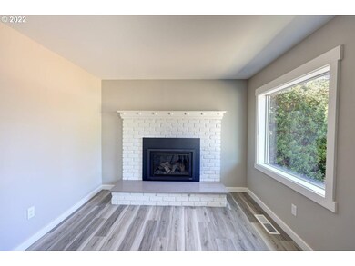 Fireplace Gas Burning Stove/Insert