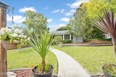 002_Front Yard