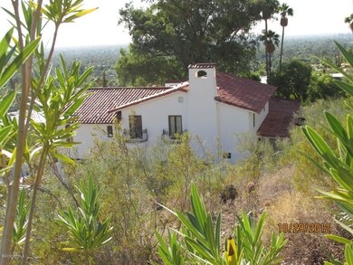 VIEW FROM EAST