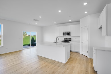 12217 Dodwell St, Huntley, IL 60142 - photo 4