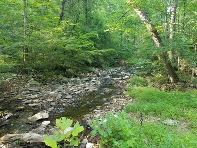 Another view of the creek(s).