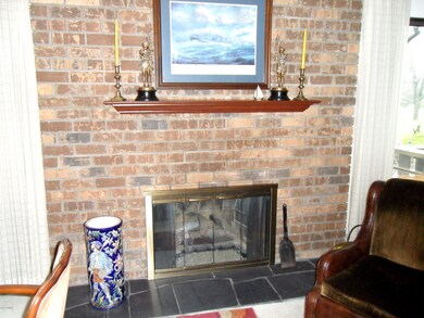 Fireplace in Living Room