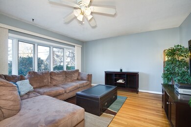 49 Huntington Ave, Worcester, MA 01606 - photo 5