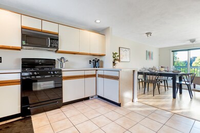 44 May St, Cambridge, MA 02138 - photo 6