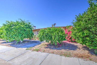 5759 E Arbor Ave, Mesa, AZ 85206 - photo 6