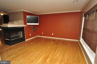 24736 Stone Station Terrace, Stone Ridge, VA 20105 - photo 6