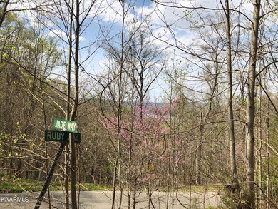#707 Ruby Way, Sunset Bay, Norris Lake