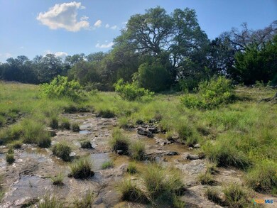View of local wilderness