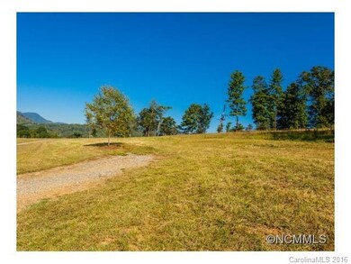 000 Newfound Rd, Leicester, NC 28748 - photo 5