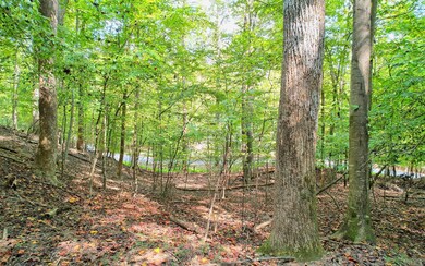 Additional View