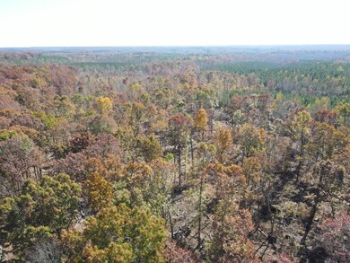 0 Old Highway 18 unit RTC2593446, Stewart, TN 37175 - photo 7