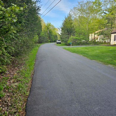 211 Alter Ave, Pocono Summit, PA 18346 - photo 5