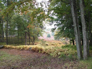 125 Buckboard Ln, Hawley, PA 18428 - photo 2