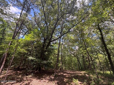 0 Salix Ln, Macon, GA 31216 - photo 4