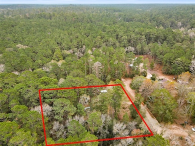 99 Fawn Dr, New Waverly, TX 77358 - photo 2