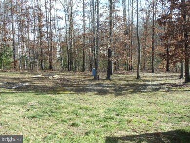 6822 Silverbrook Dr, Spotsylvania, VA 22553 - photo 4