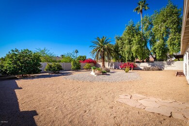 Large low maintenance backyard