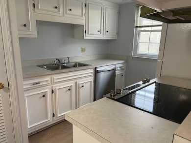 New dishwasher, glass cooktop, freshly painted cabinets.