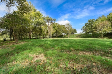 32911 Southern Manors Dr, Fulshear, TX 77441 - photo 3